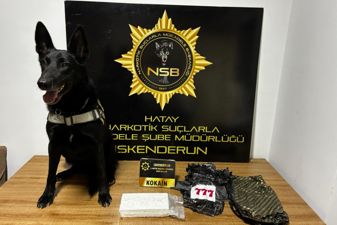 Hatay'da 5 Milyon Değerinde Kokain 