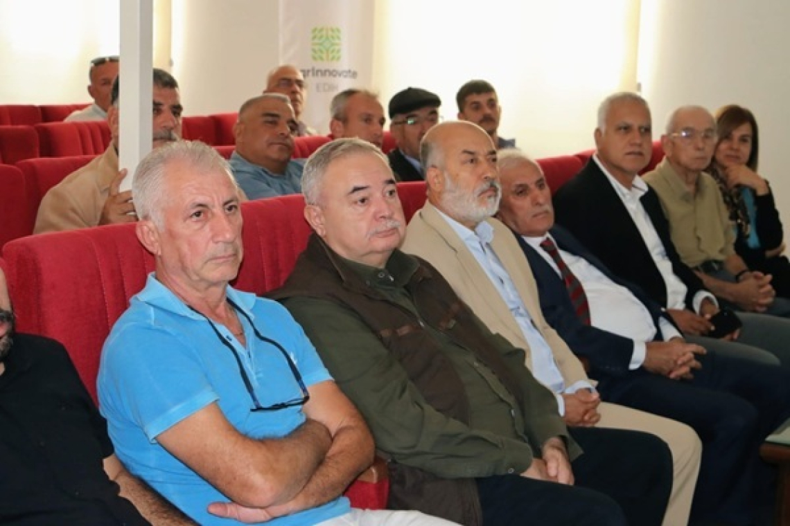 ZEYTİN’DE YANLIŞ BUDAMA VERİMLİLİĞİ DÜŞÜRÜR