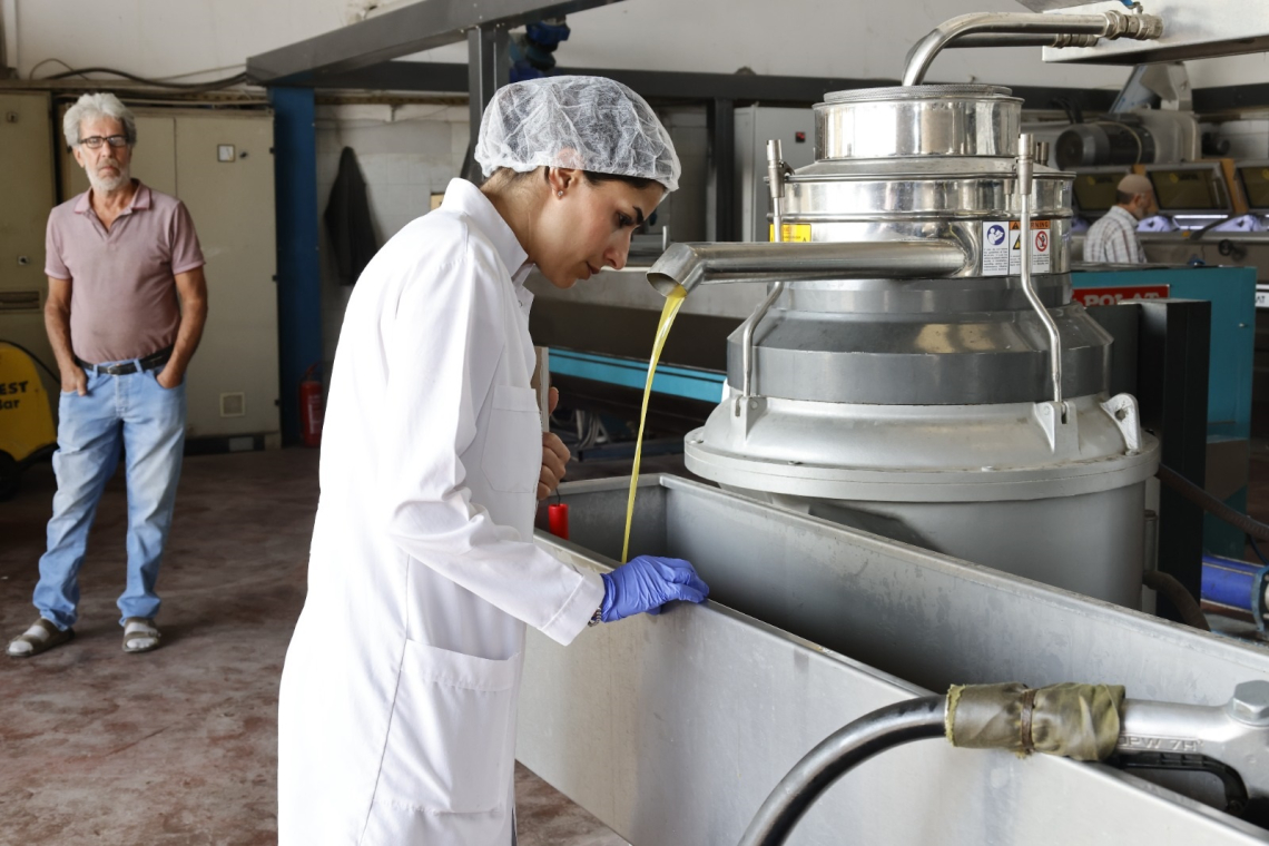 HATAY'DA ZEYTİNYAĞI FABRİKALARINA DENETİM