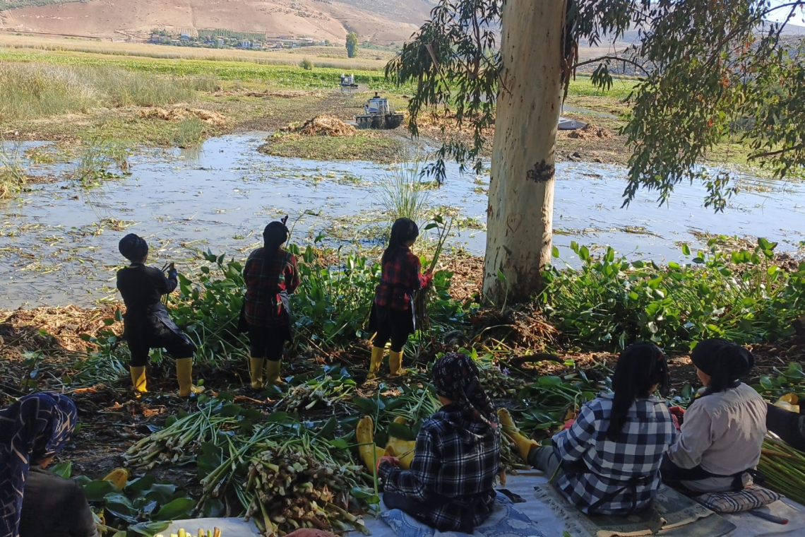 BÖLGE VE DÜNYA İÇİN YENİLİKÇİ BİR UMUT