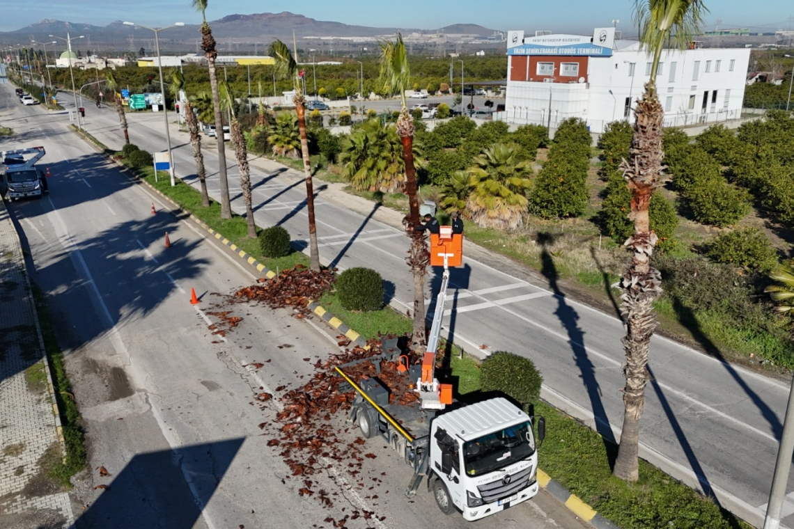 ERZİN ANA YOLLARINDA ÇEVRE DÜZENLEMESİ 