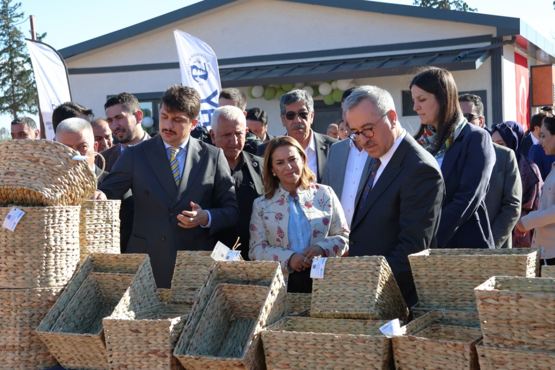 İstilacı Bitkiden Dekoratif Sepet ve Çantalar