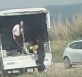 KÖPEK YAVRULARINI ATANLARA CEZA
