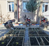 2114 SAKA KUŞUNA ÖZGÜRLÜK