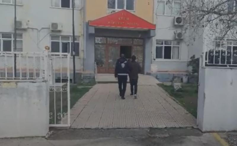4587.jpg