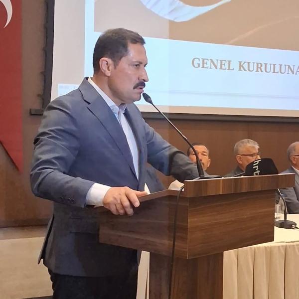 68613.jpg