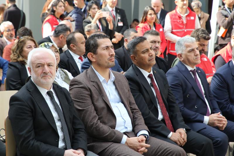 6efe6.jpg