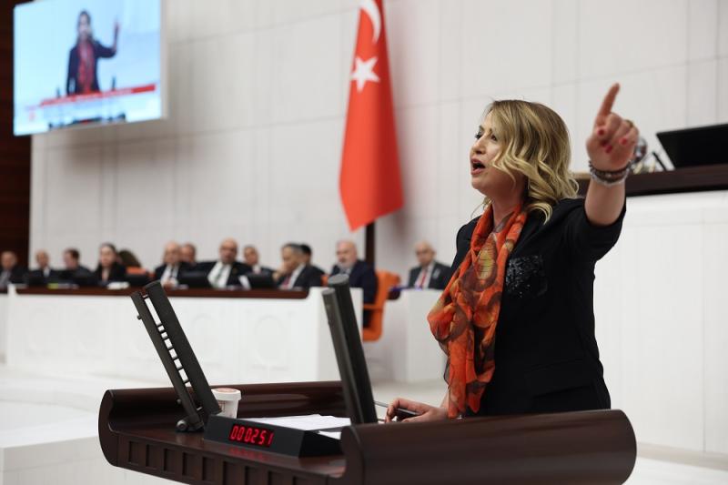 ELIF0652jpeg.jpg