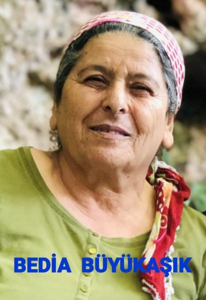 büyükaşık0228119274_n.jpg