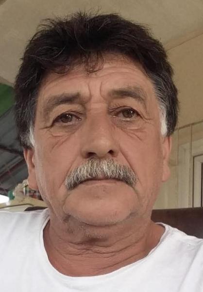 doğan329.jpg