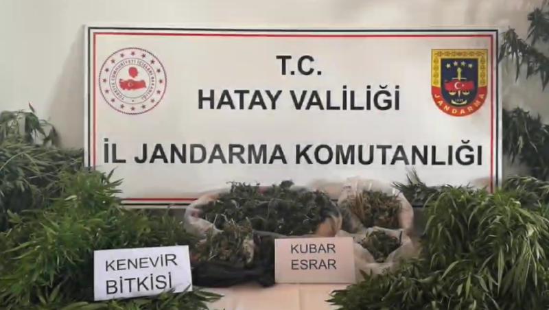 esrarısı.PNG