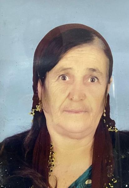 göbelek863591144592_n.jpg