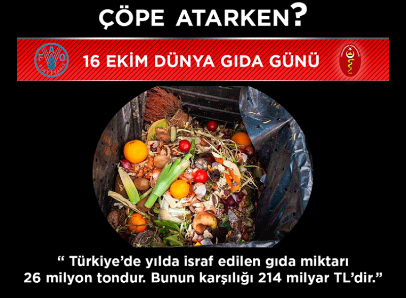 gıda_1.png