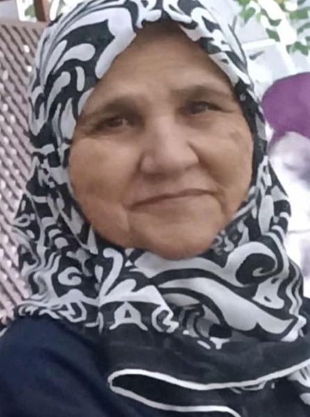 ildiz419016499113_n.jpg