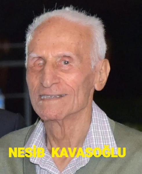 kavasjpeg.jpg