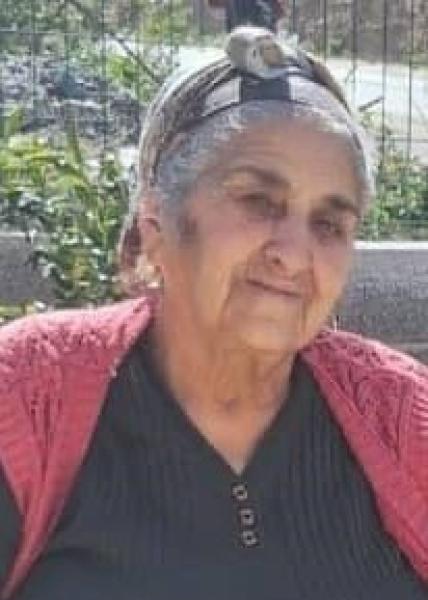 sahalı9207765.jpg