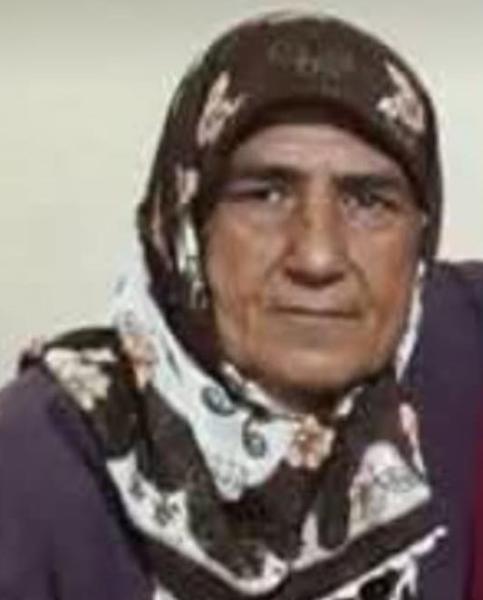 sarraç344.jpg