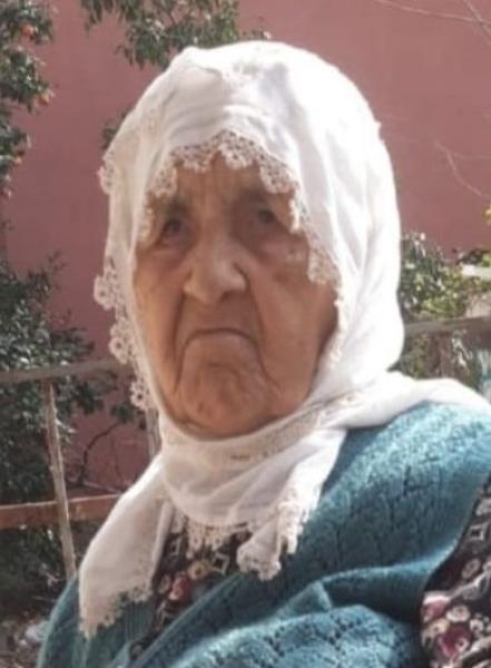 tavşan993484699282_n_copy.jpg