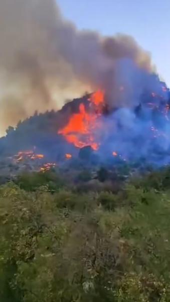 yangını.jpg