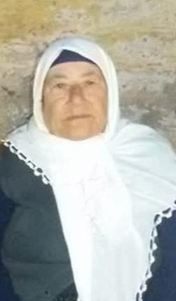 çelik9093233865_n.jpg