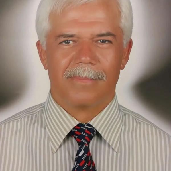 çınar7054239.jpg