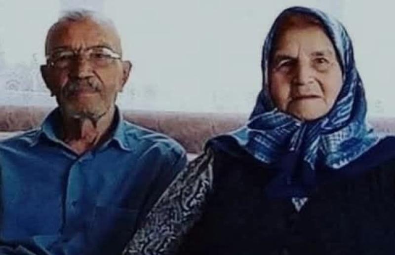 şahin3246.jpg